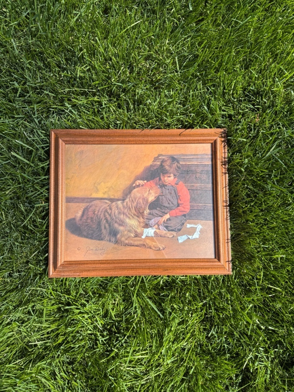Vintage Jim Daly 1980 Boy Dog Print Framed Americana Wall Art